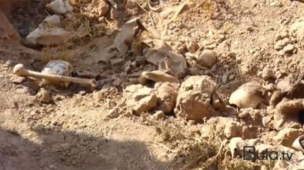  Şuşadakı insan qalıqları kimlərə aiddir? - İlk versiya  