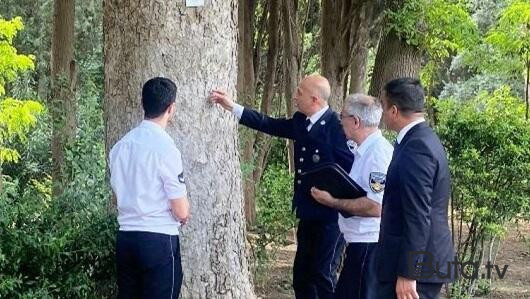  Mərkəzi Nəbatat bağında monitorinq keçirildi  