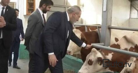  Nikolun müsahibəsi aranı qatdı: Ruslar qəzəbləndi 