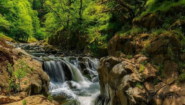  Milli parklarda gözlənilən hava şəraiti…  