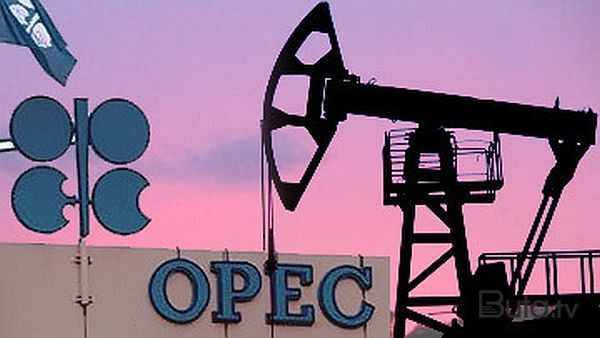  OPEC+ neft hasilatı ilə bağlı qərarını verdi  
