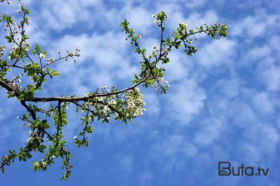  Bakıda temperatur 24 dərəcəyə yüksələcək  