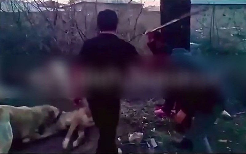  Həmin görüntülərlə bağlı saxlanılanlar var  