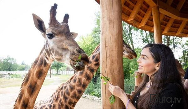  Leyla Əliyeva Berlin zooparkında - Foto  