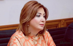 Etiraf etməliyik ki, bu prosesə gecikmişik - Aynur Camalqızı