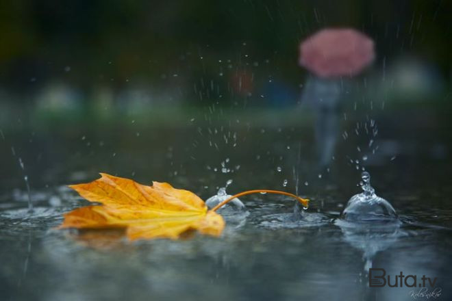  İntensiv yağışlar davam edir  