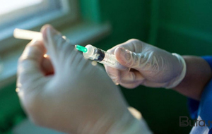 Ukraynadan gətirilən toyuqlarda "salmonella" aşkarlandı - Foto