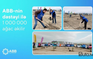 ABB-nin dəstəyi ilə 1 000 000 ağac əkilir