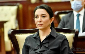 Ombudsmandan beynəlxalq təşkilatlara çağırış...