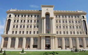 37 nəfər Almaniyadan Azərbaycana geri gətirildi