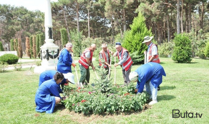  Abşeronda iməclik keçirilib - Foto  