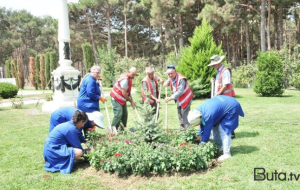 Abşeronda iməclik keçirilib - Foto