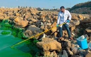 Böyükşor gölündə suyun rənginin yaşıl olmasının səbəbi