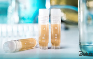 Rusiya bu adada virus laboratoriyası yaradıb