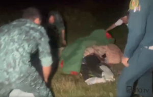 Niderlandlı qadına Şəkidə itlər hücum etdi - Belə xilas olundu+Video