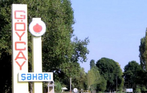 Kişi qaynı ilə dalaşdı, infarkt keçirib öldü