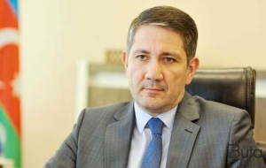 Anar Kərimova yeni vəzifə verildi