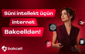 Süni intellekt üçün internet Bakcelldən
