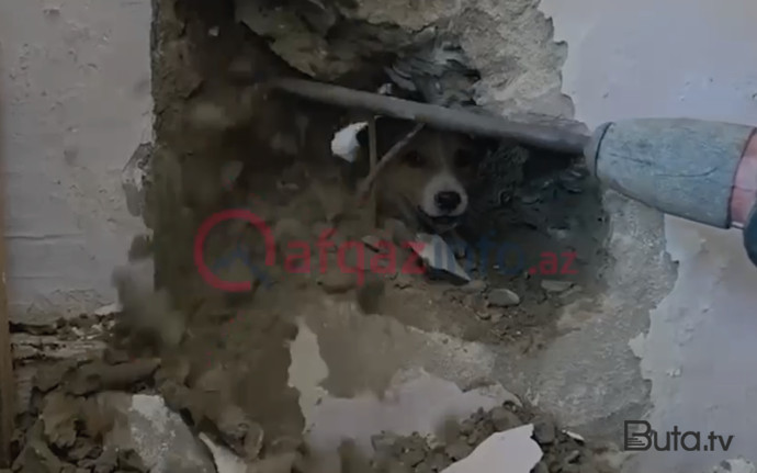  Sakinlər onun xilası üçün nazirliyə zəng etdilər - Video  