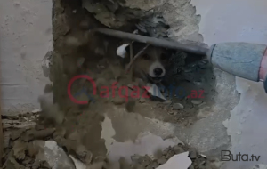 Sakinlər onun xilası üçün nazirliyə zəng etdilər - Video