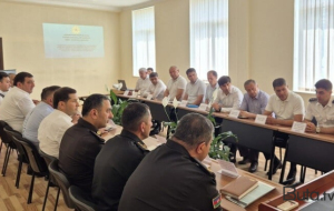 Dəyirmi masa: Çimərliklərdə təhlükəsizlik tədbirləri... - Foto