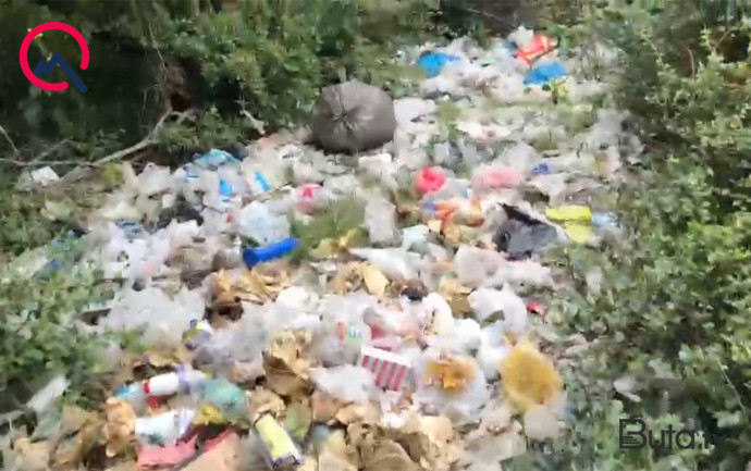  Meşəyə insan gəlib... - Video  