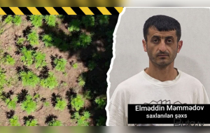 Hirkan Milli Parkında narkoplantasiya qurmuşdu - Polis saxladı-Video