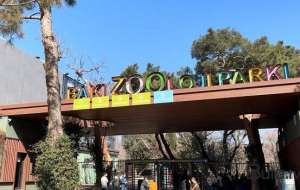 Bu qurum niyə 350 min manata siçan-siçovul alır?