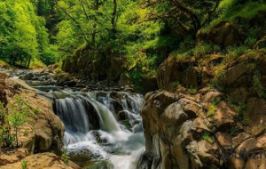Hirkan Milli Parkında şəlalədə çimərkən batdı