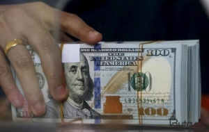 Xanım sahibkar ölkədən 200 min dollar çıxartdı