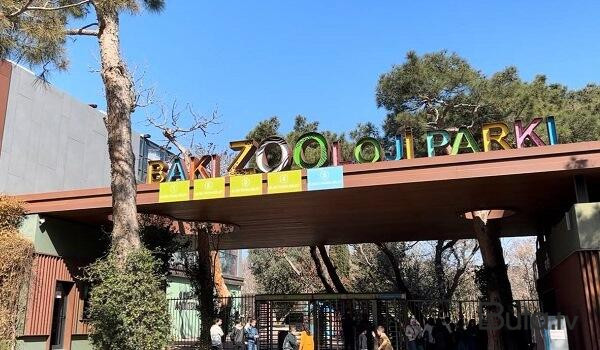  Bakı zooparkı ləğv olunur  