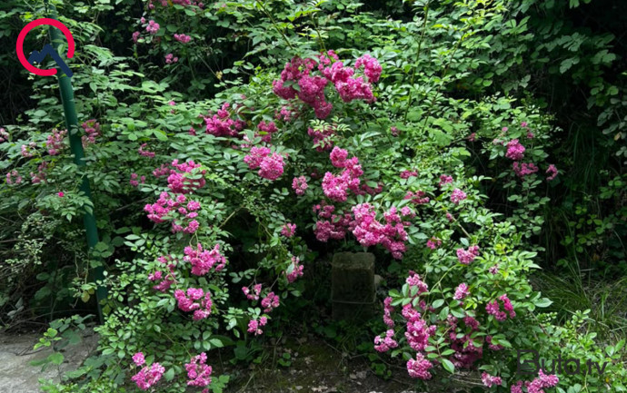  Sabahın hava proqnozu açıqlandı  