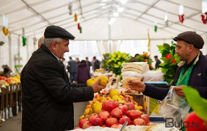“Kənddən Şəhərə” Novruz yarmarkaları başlayır