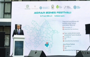 Bu istiqamət üzrə 30-dan çox peşə hazırlığı kursu təklif edilir