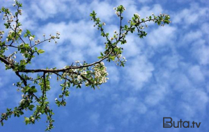 Temperatur 23 dərəcəyə yüksələcək