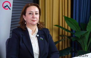 “Düşünür ki, deputatsansa, qanunsuz işləri də görə bilərsən” - Videomüsahibə