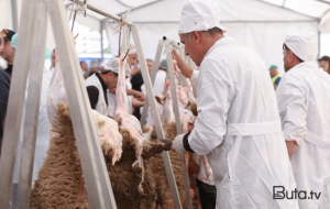 Qurbanlıqları bu ünvanlardan ala bilərsiniz - Siyahı