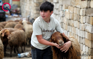 Günün qurbanları... - Fotolar