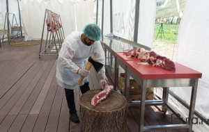 Qurbanlıqları bu ünvanlardan ala bilərsiniz - Siyahı