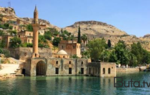Qumar borcu olan molla 50 milyon yığıb aradan çıxdı