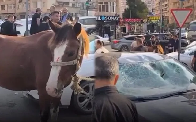 Bakıda maşınla toqquşan atın sahibi saxlanıldı - Video - Yenilənib