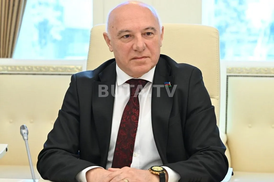 Arzuxan Əlizadə deputat mandatından imtina edəcək?
