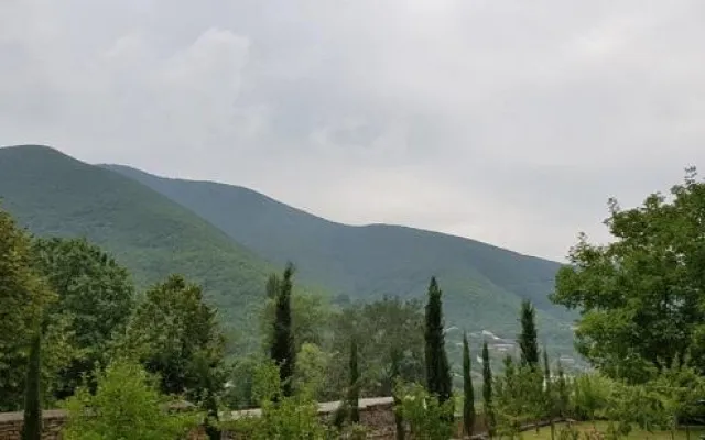 Sabah bu ərazidə qaz olmayacaq