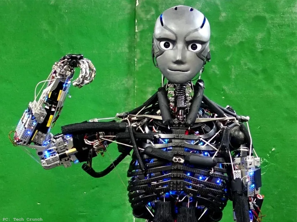 Robot blogeri rinqdə yerə sərdi - Video