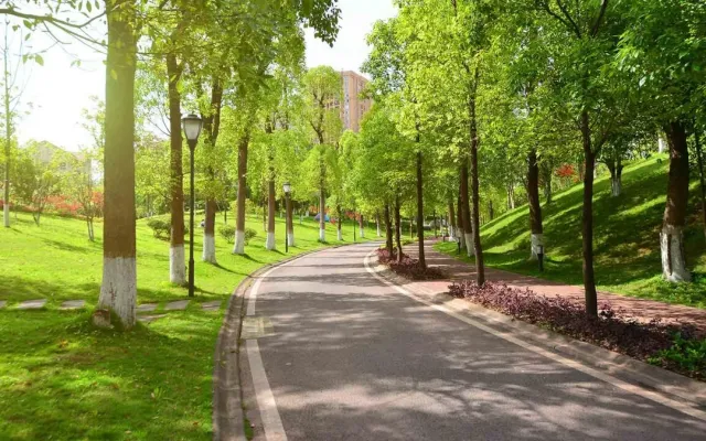 Bakıda yeni park salınır - 35 MİLYON MANAT AYRILDI